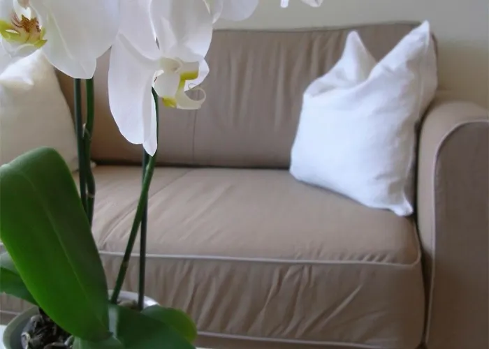 City Lodging Apartments