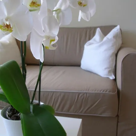 City Lodging Apartments